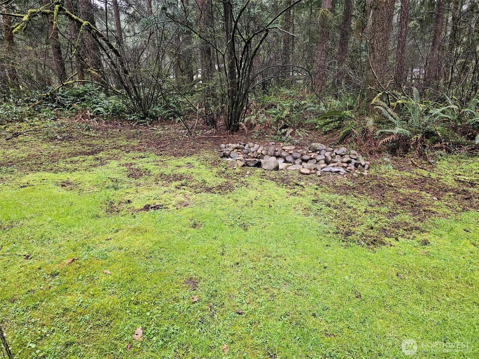 16727 Littlerock Road SW, Rochester, WA 98579