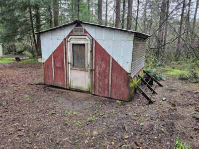 16727 Littlerock Road SW, Rochester, WA 98579 - Photo 39