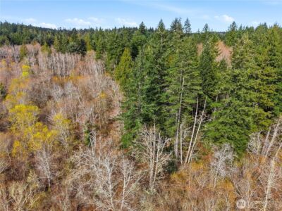 0 XXXX NE State Highway 104 , Kingston, WA 98346 - Photo 10