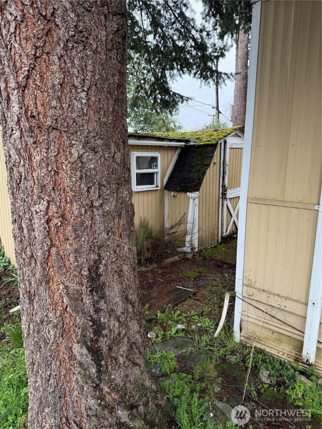 7301 NE 175th Street #309, Kenmore, WA 98028