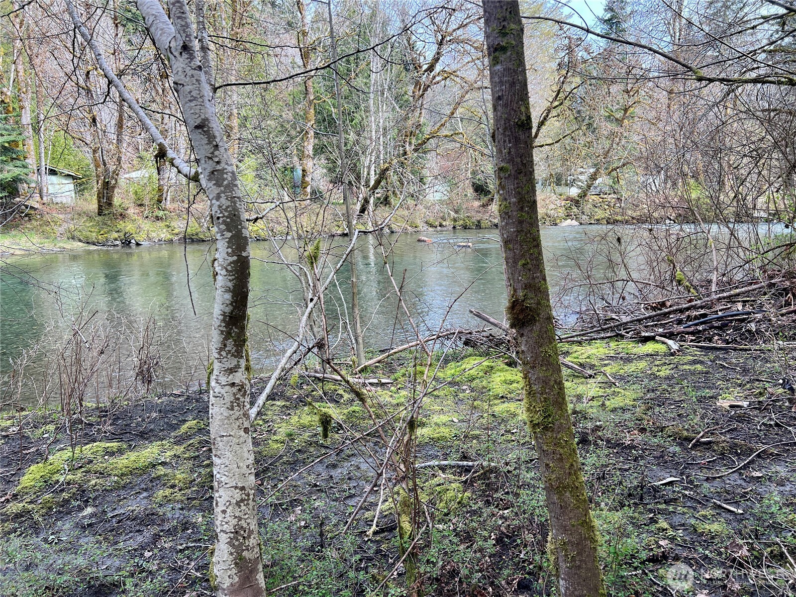 680 Mountain Trail , Brinnon, WA 98320