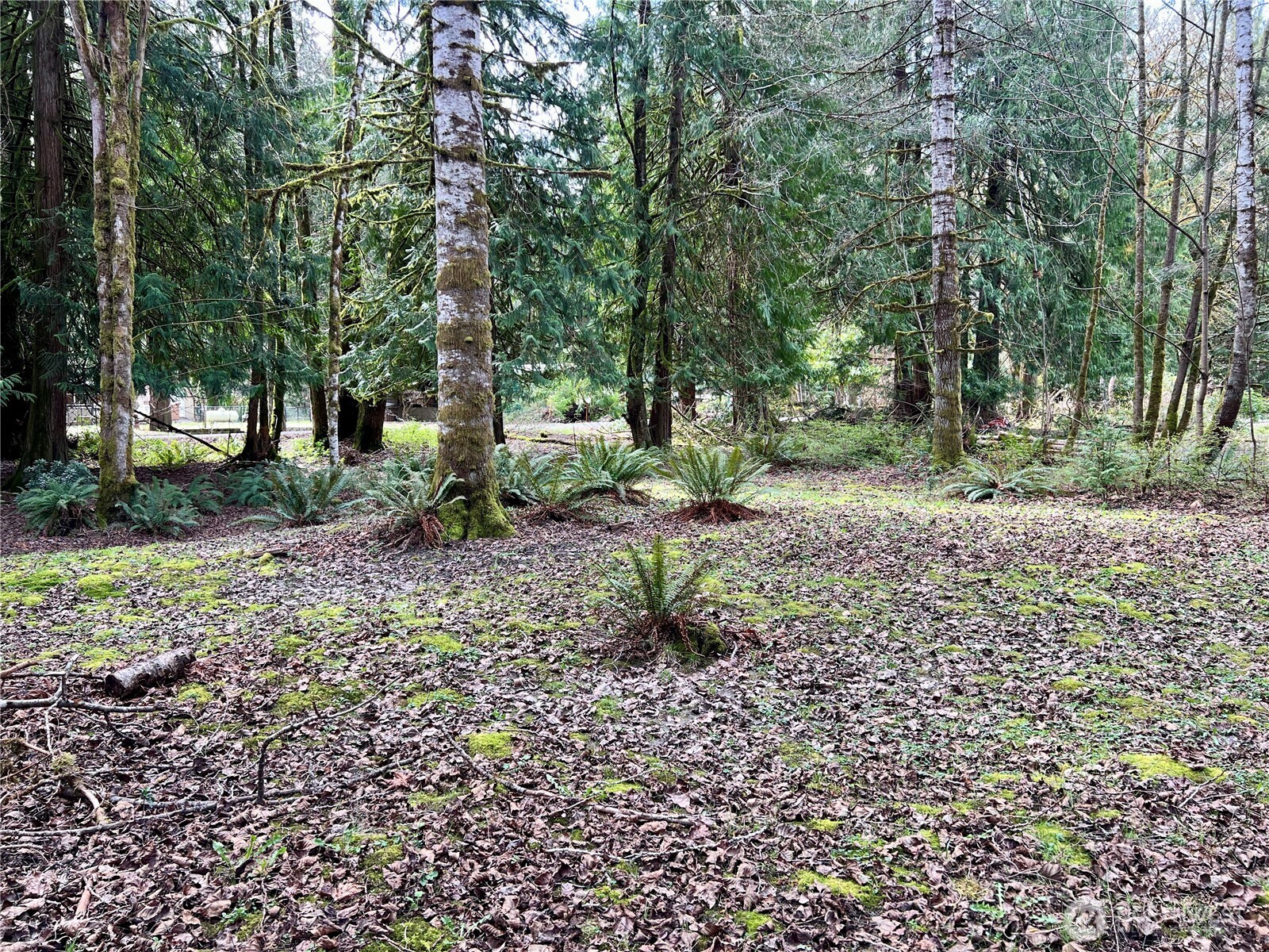 680 Mountain Trail , Brinnon, WA 98320