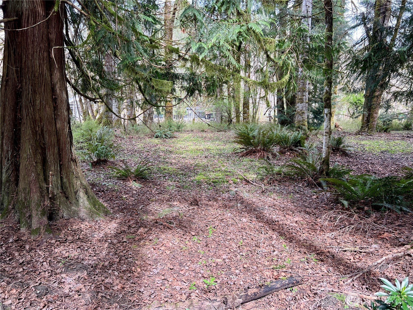 680 Mountain Trail , Brinnon, WA 98320