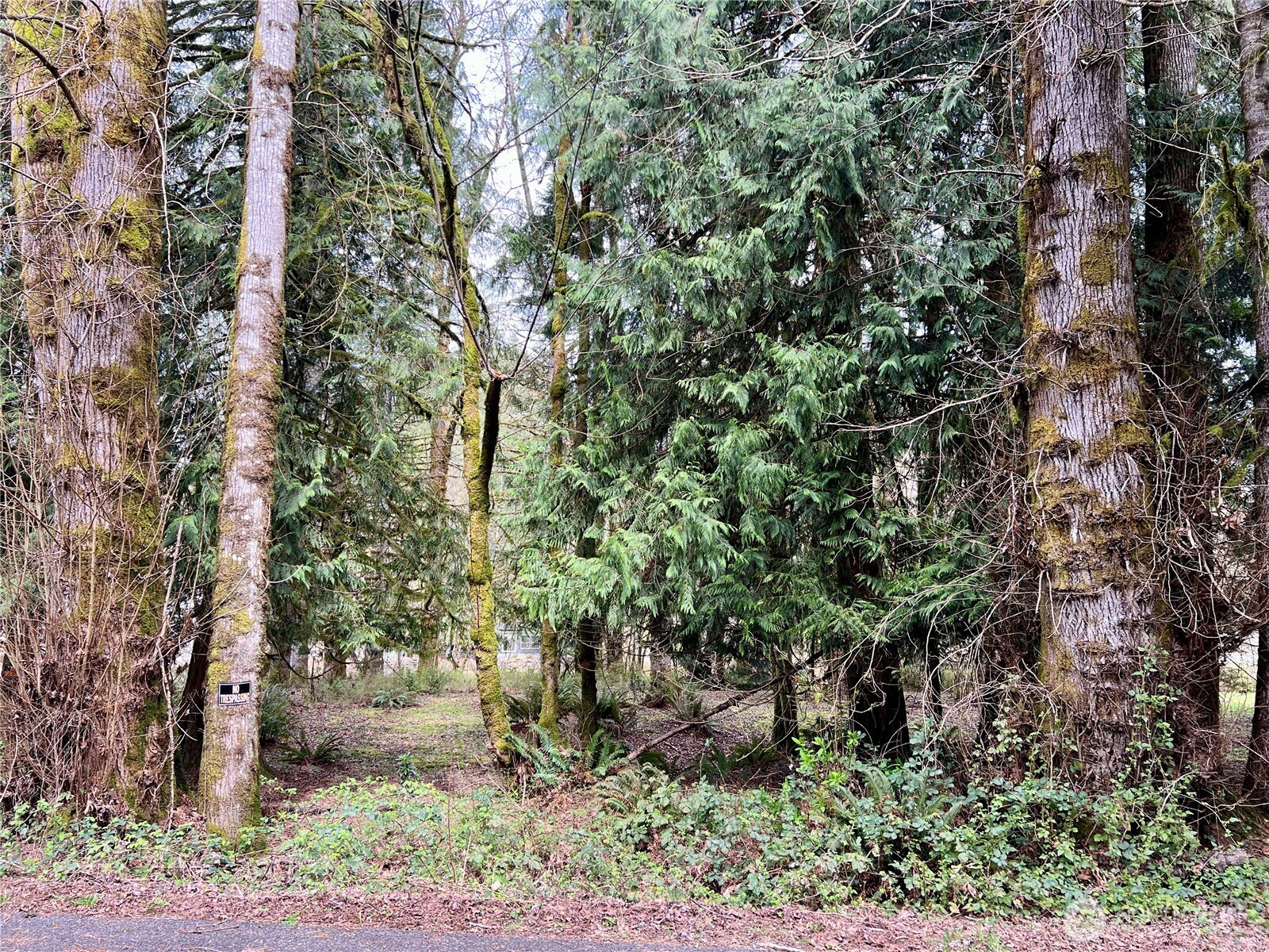 680 Mountain Trail , Brinnon, WA 98320