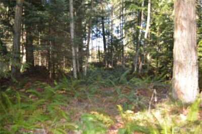 999 E Sequim Bay Road , Sequim, WA 98382 - Photo 12