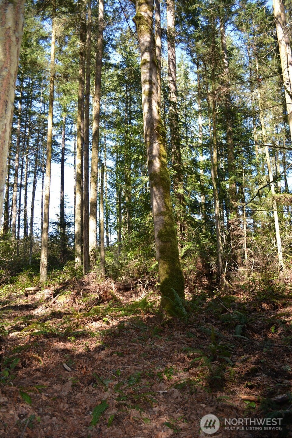 999 E Sequim Bay Road , Sequim, WA 98382