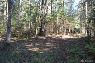 999 E Sequim Bay Road , Sequim, WA 98382 - Photo 10