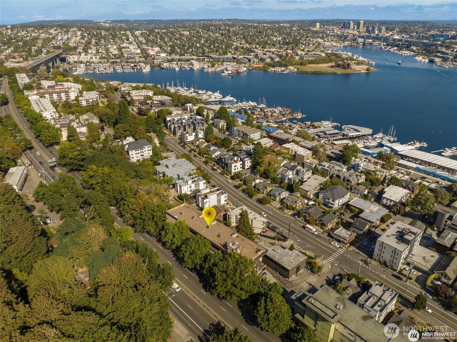 700 Crockett Street #204, Seattle, WA 98109