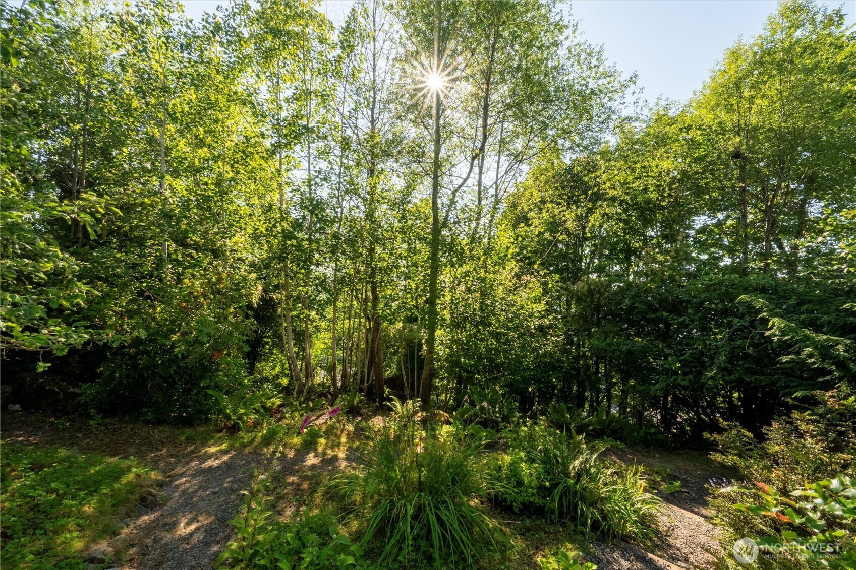 0 XXX S State Street , Bellingham, WA 98225