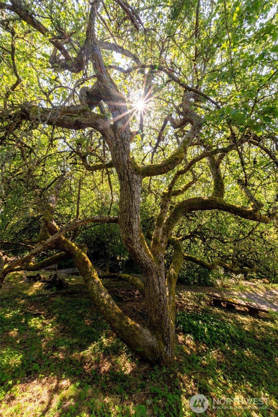 0 XXX S State Street , Bellingham, WA 98225