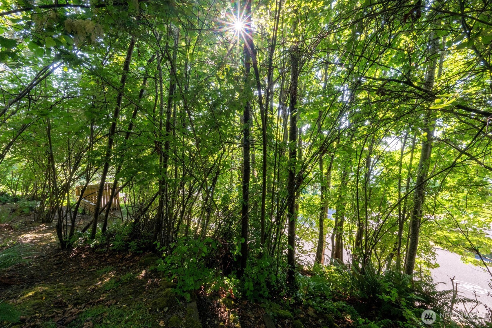 0 XXX S State Street , Bellingham, WA 98225