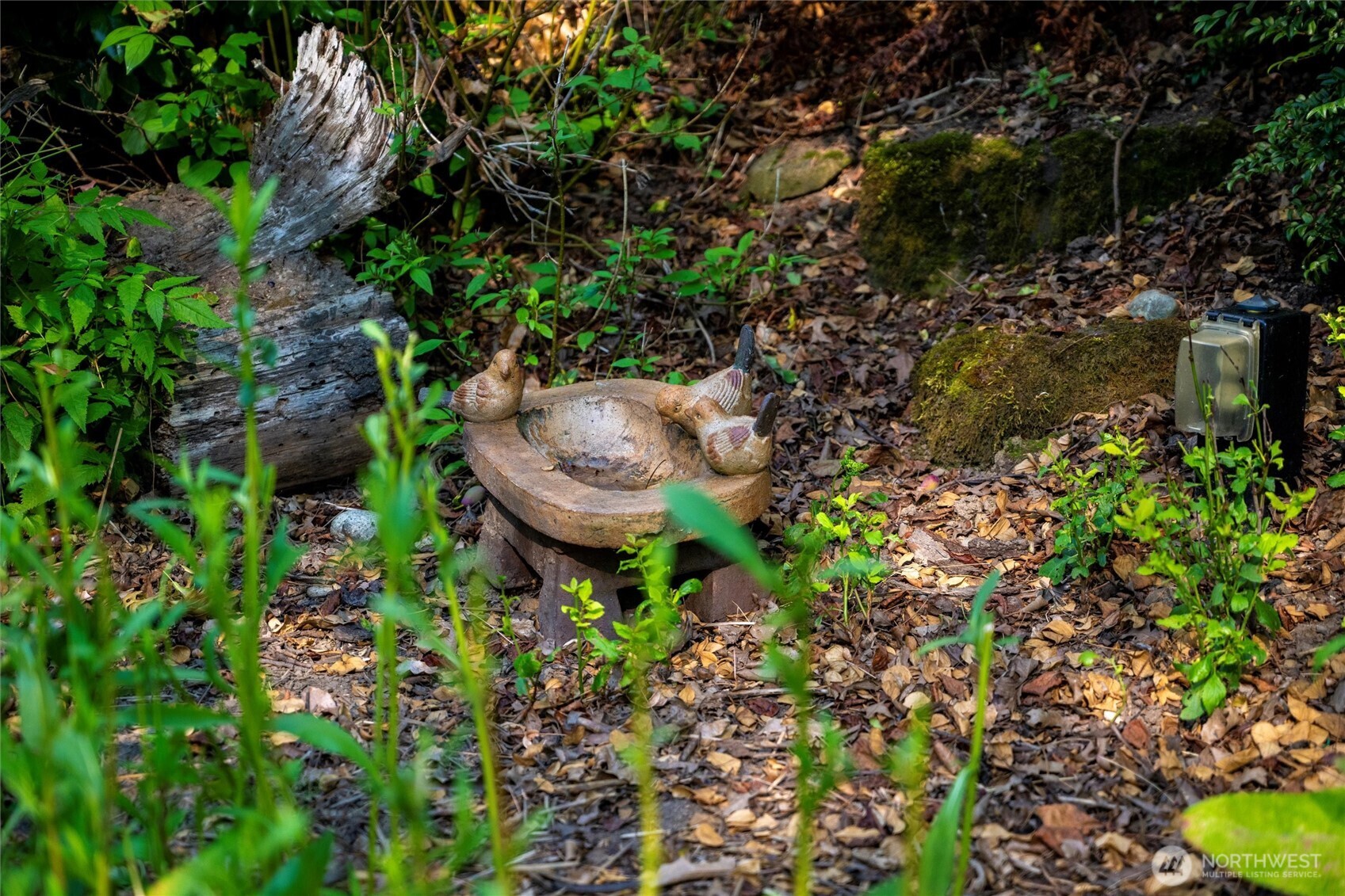 0 XXX S State Street , Bellingham, WA 98225