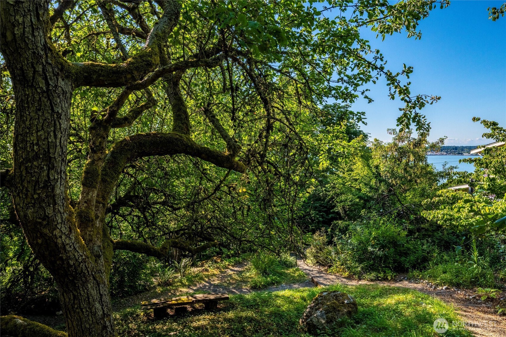 0 XXX S State Street , Bellingham, WA 98225