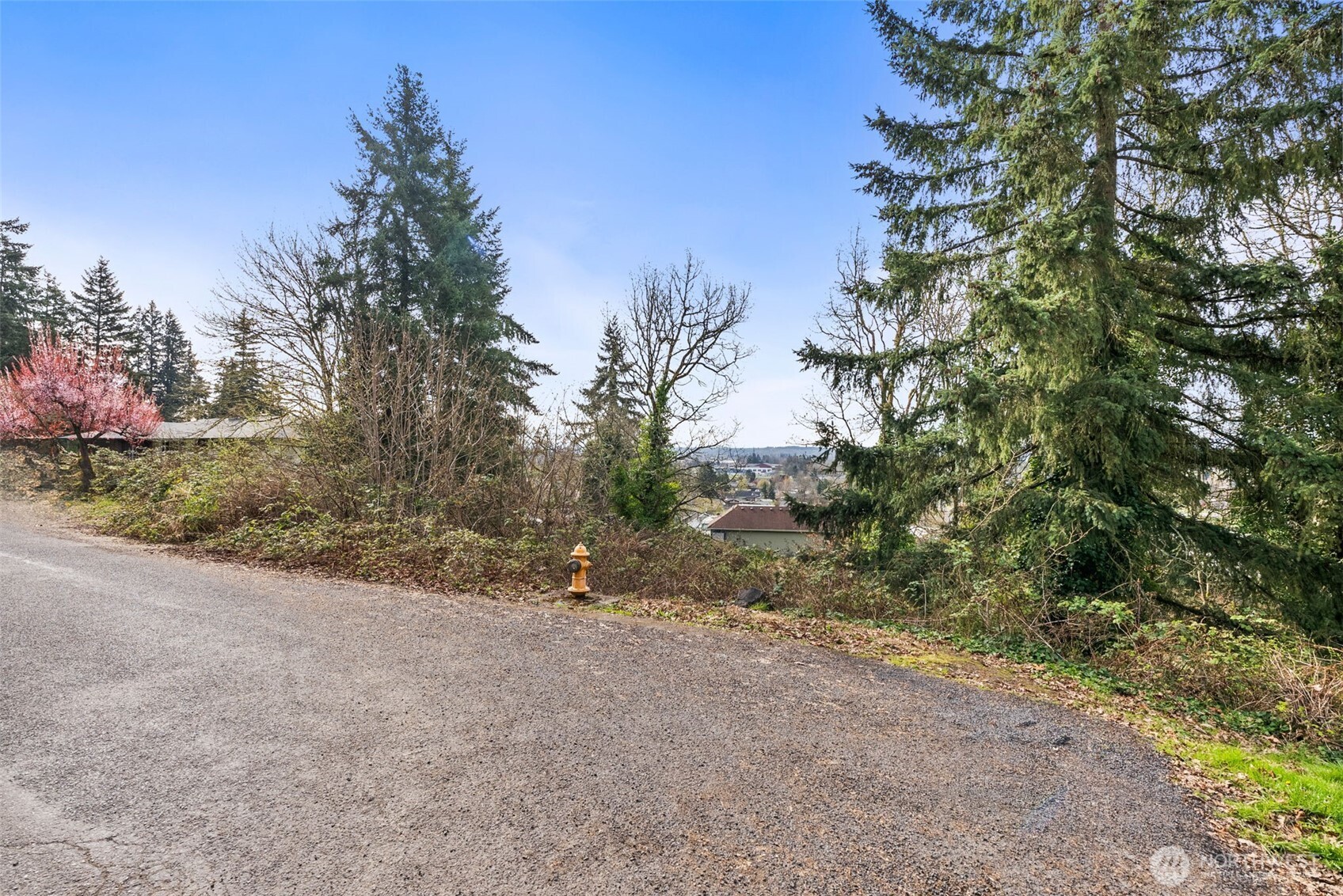 0 S Market Boulevard , Chehalis, WA 98532