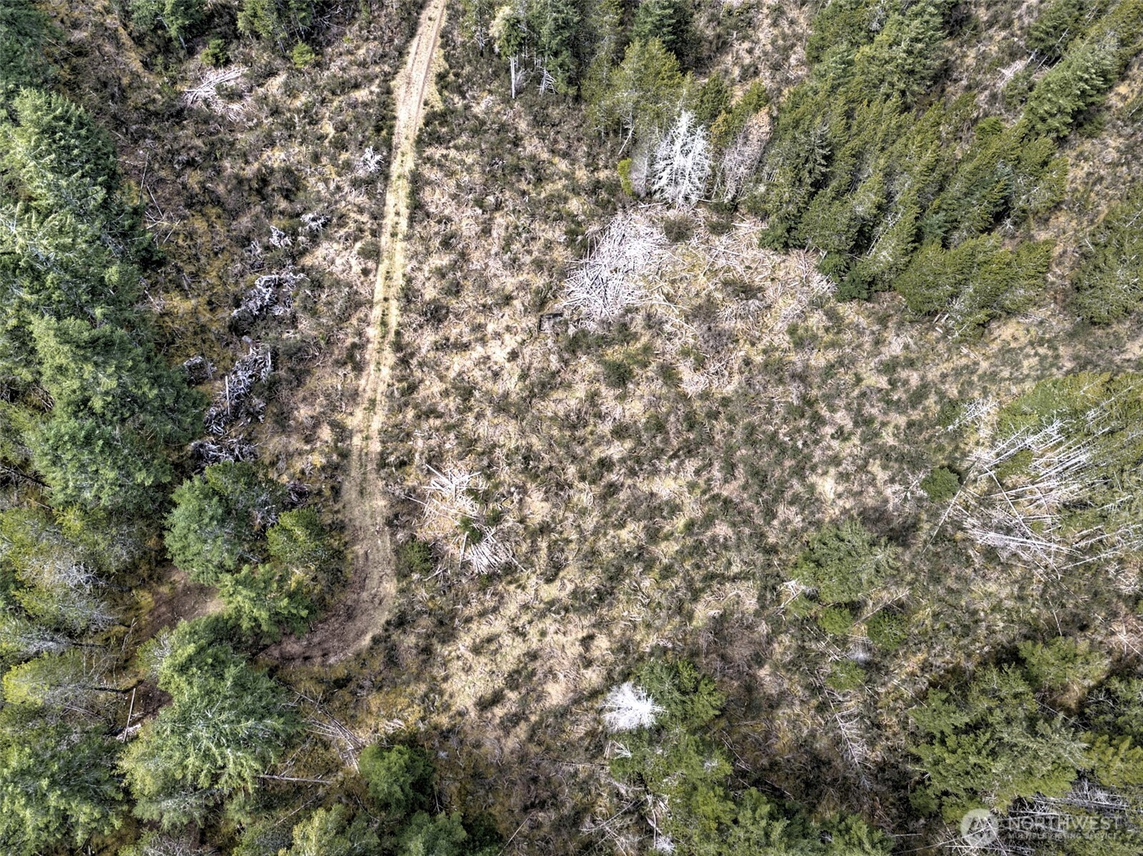 0 xxx E Melissa Lane , Shelton, WA 98584
