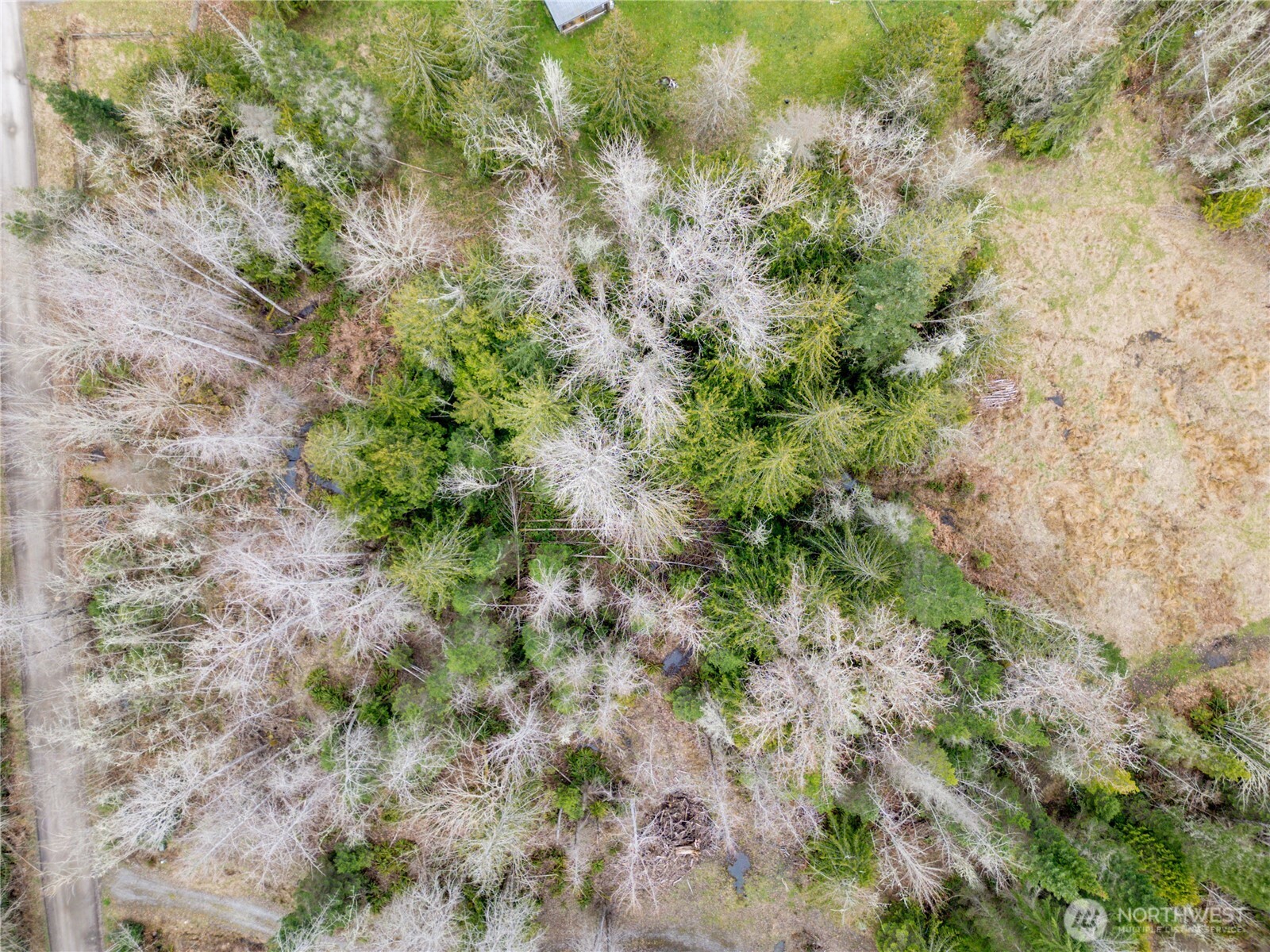 9999 Runamuck Lane , Port Angeles, WA 98362