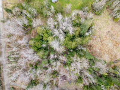 9999 Runamuck Lane , Port Angeles, WA 98362 - Photo 4