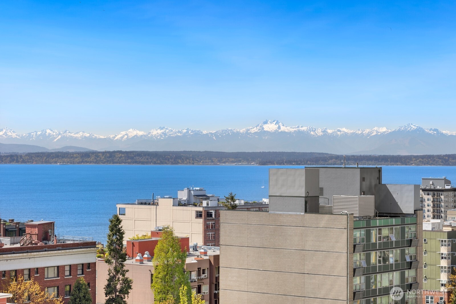 2100 3rd Avenue #1702, Seattle, WA 98121