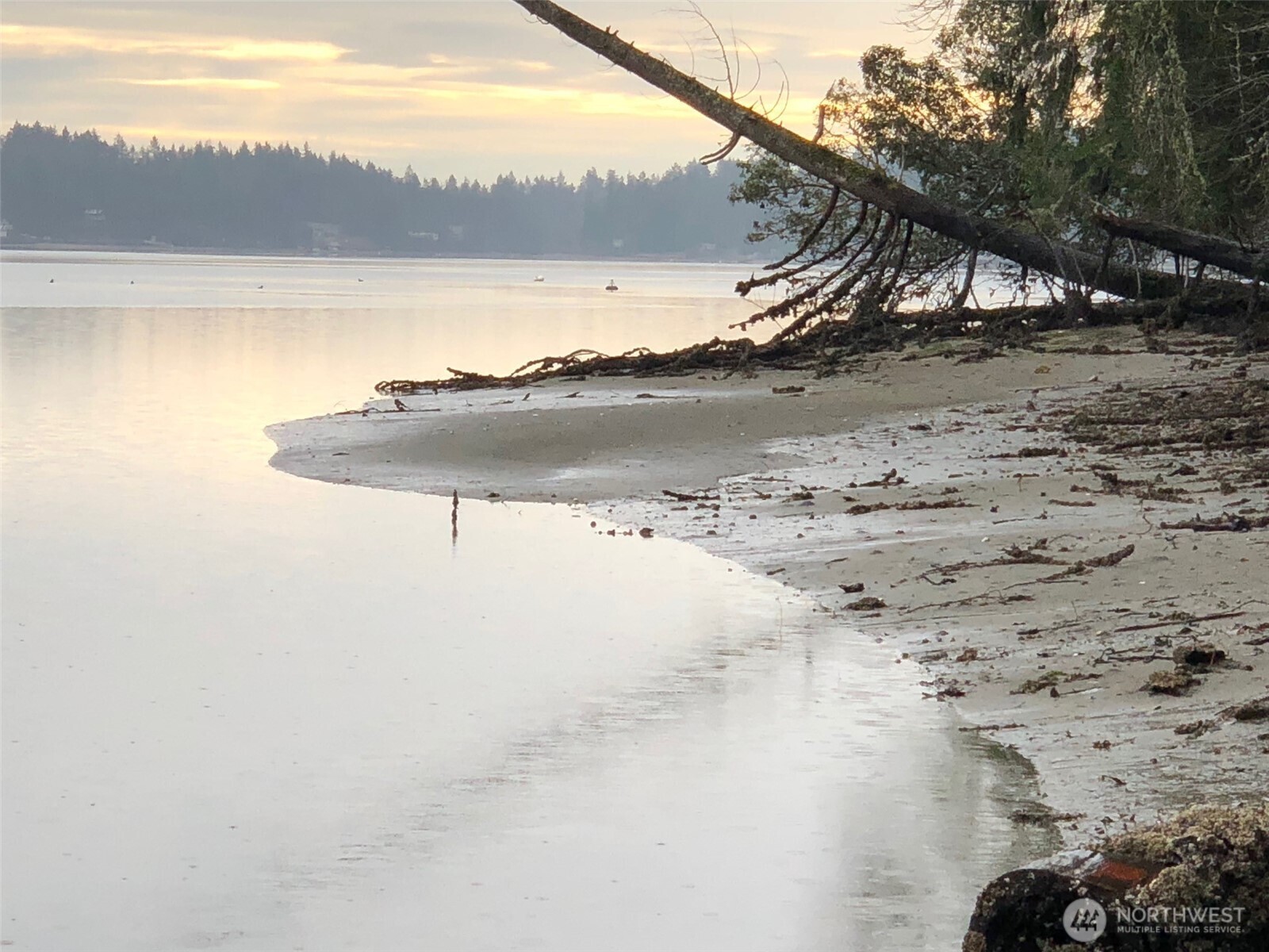 4101 161st Avenue SW, Longbranch, WA 98351