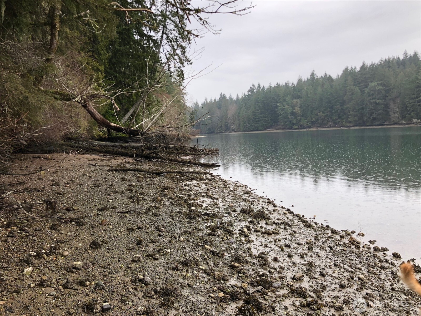 4101 161st Avenue SW, Longbranch, WA 98351