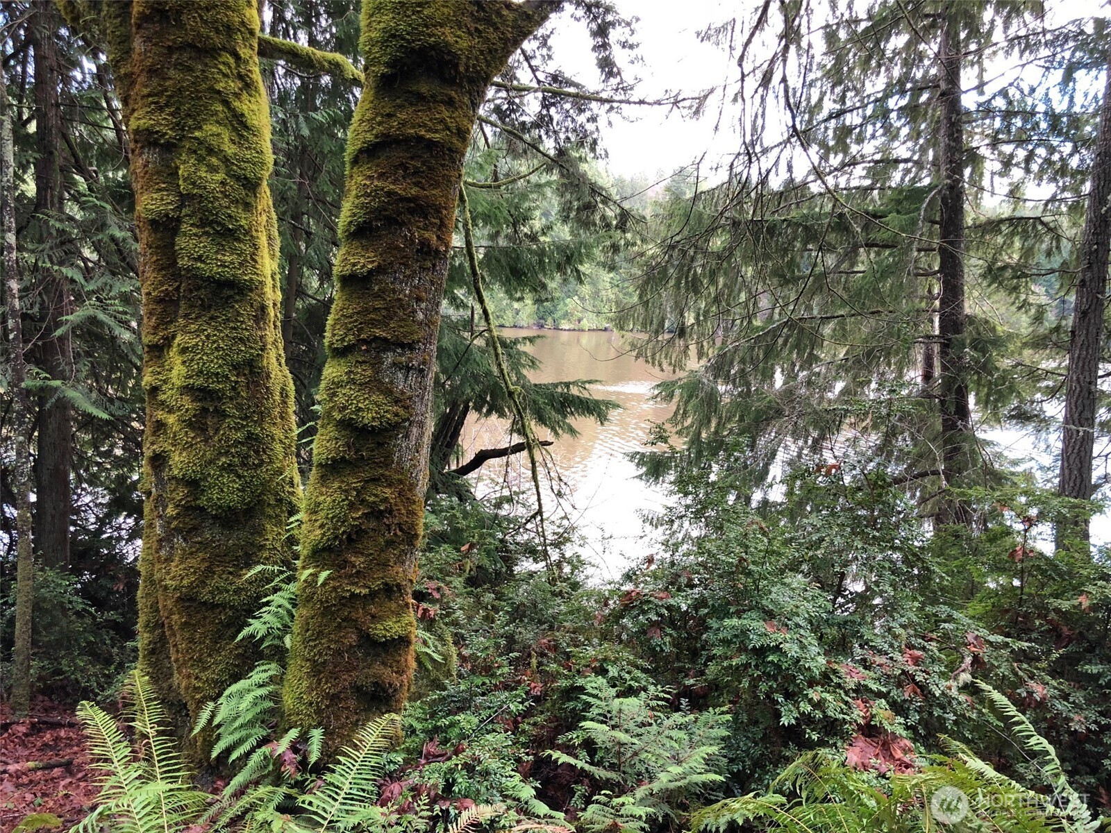 4101 161st Avenue SW, Longbranch, WA 98351