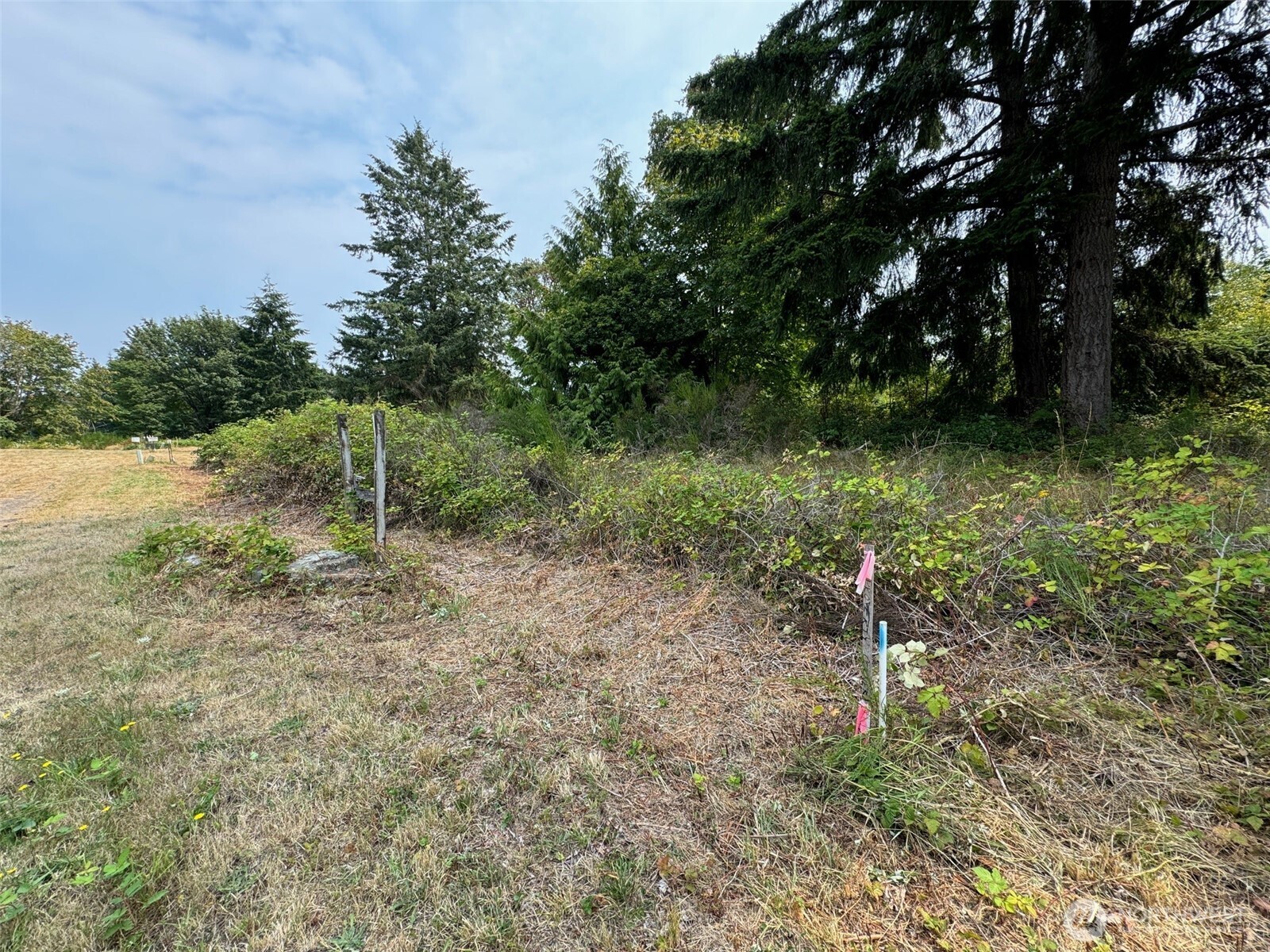 4101 161st Avenue SW, Longbranch, WA 98351