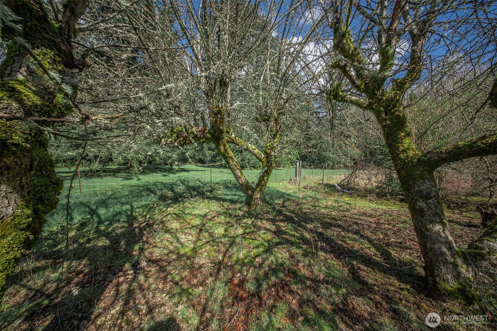 4110 Baker Ames Road NE, Olympia, WA 98506