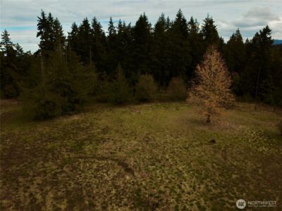 59 NKA Parrish , Sequim, WA 98382 - Photo 3
