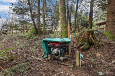 14415 Fircrest Lane SE, Tenino, WA 98589 - Photo 17