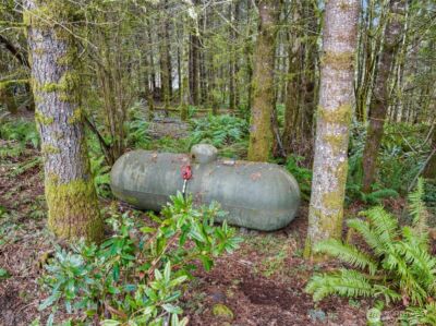 14415 Fircrest Lane SE, Tenino, WA 98589 - Photo 18