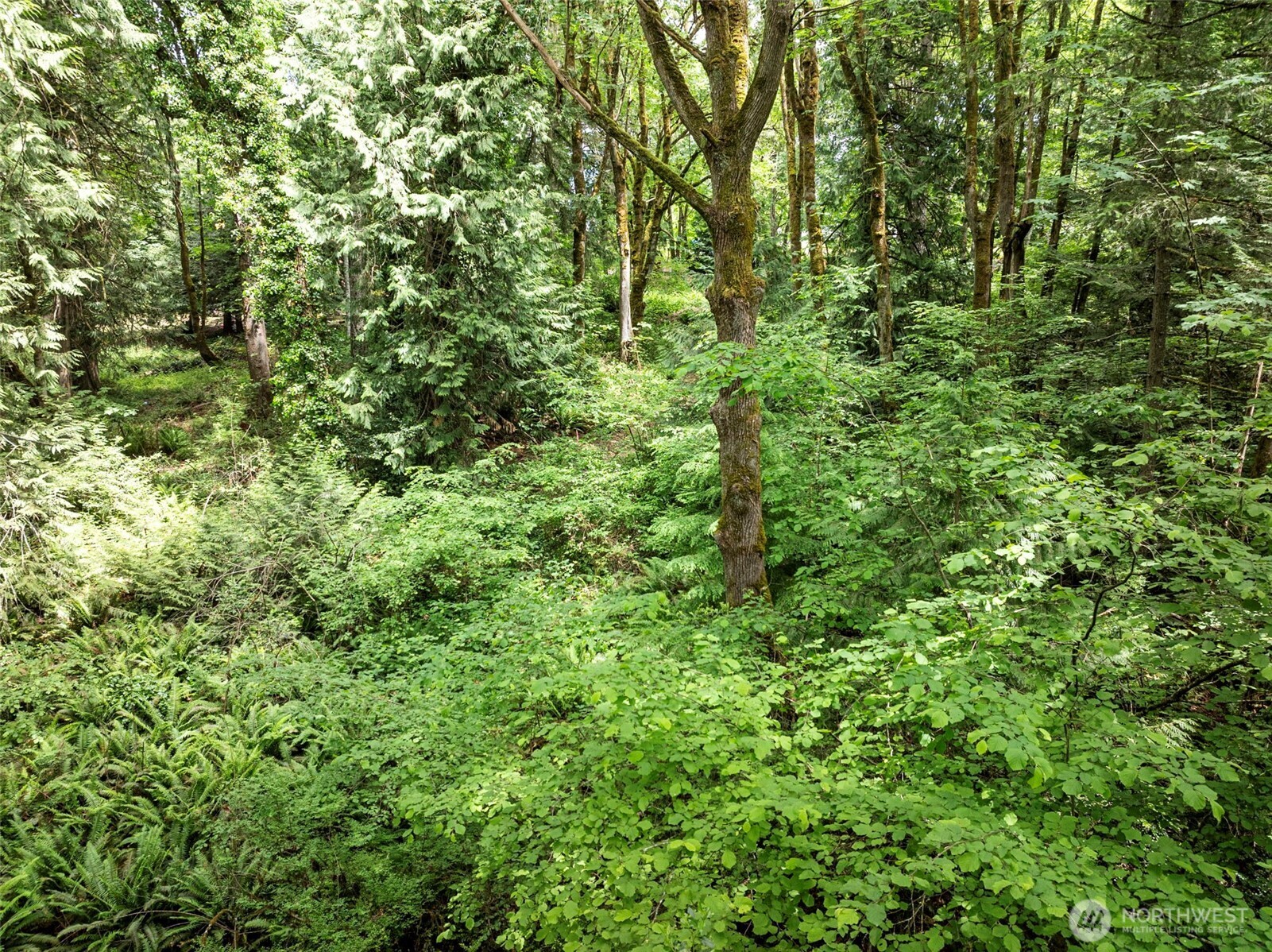 5412 46th Street Ct NW, Gig Harbor, WA 98335