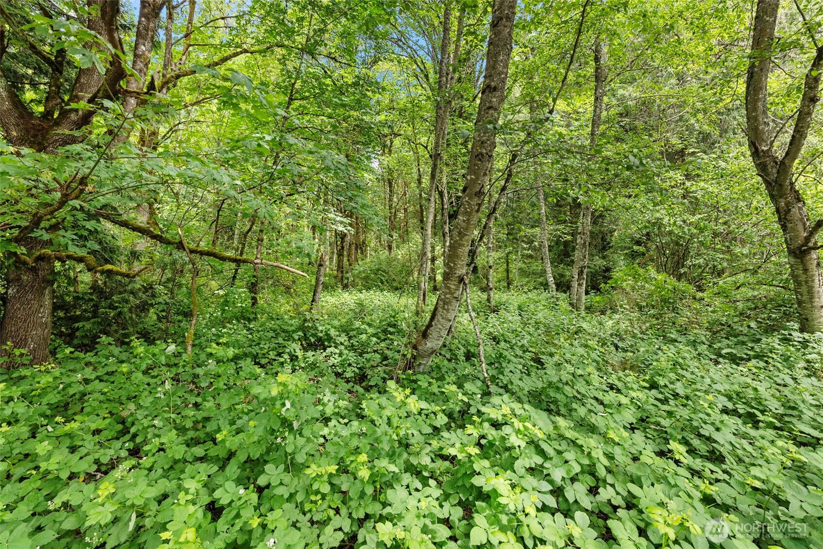 5412 46th Street Ct NW, Gig Harbor, WA 98335