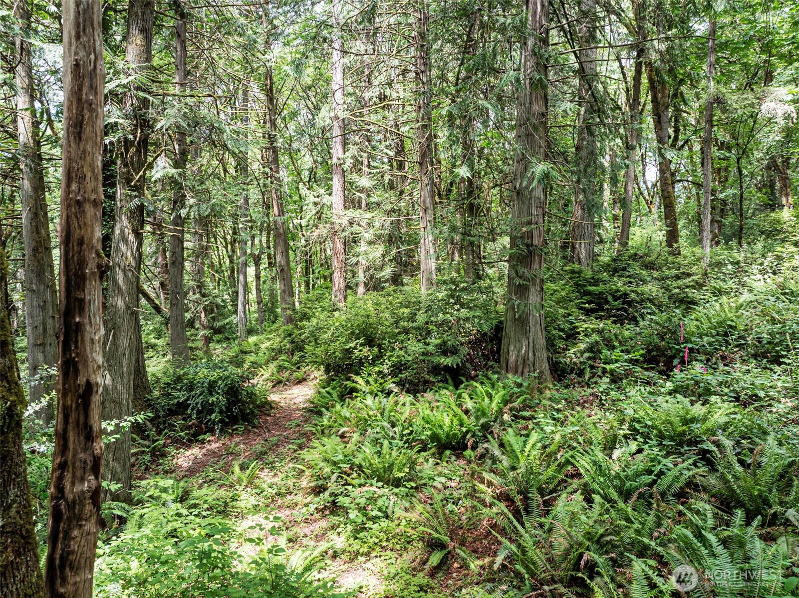 5412 46th Street Ct NW, Gig Harbor, WA 98335