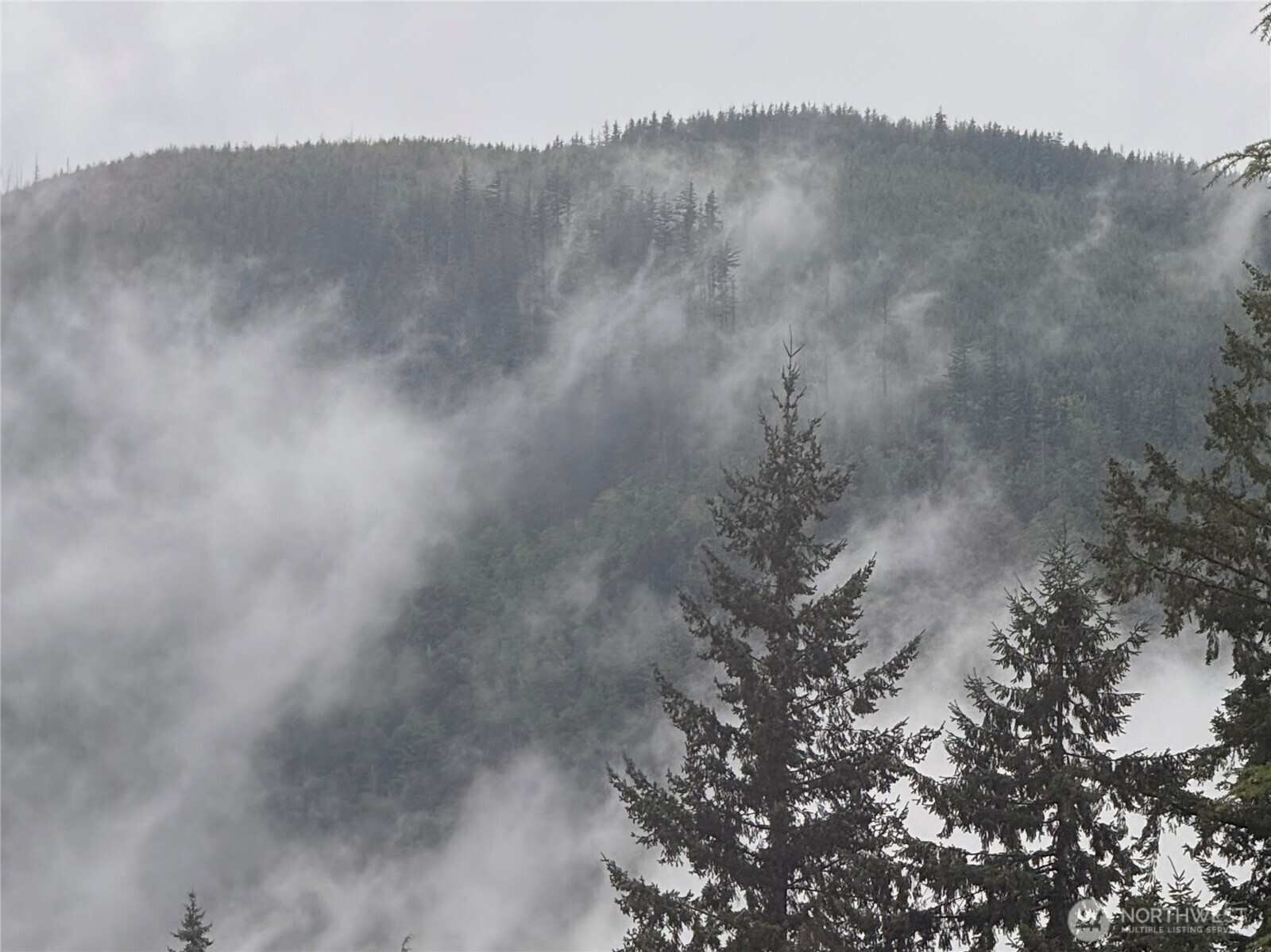 3001 Green Valley Drive , Maple Falls, WA 98266