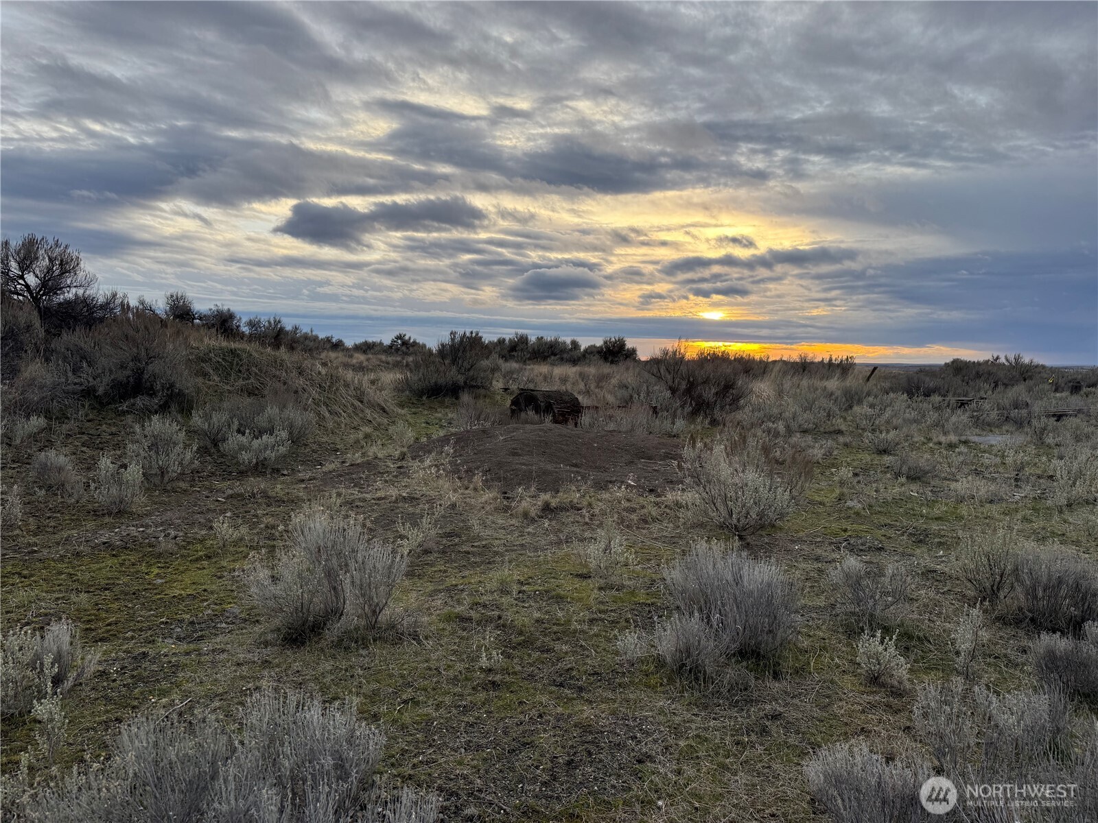 411 SW College Avenue , Wilbur, WA 99185