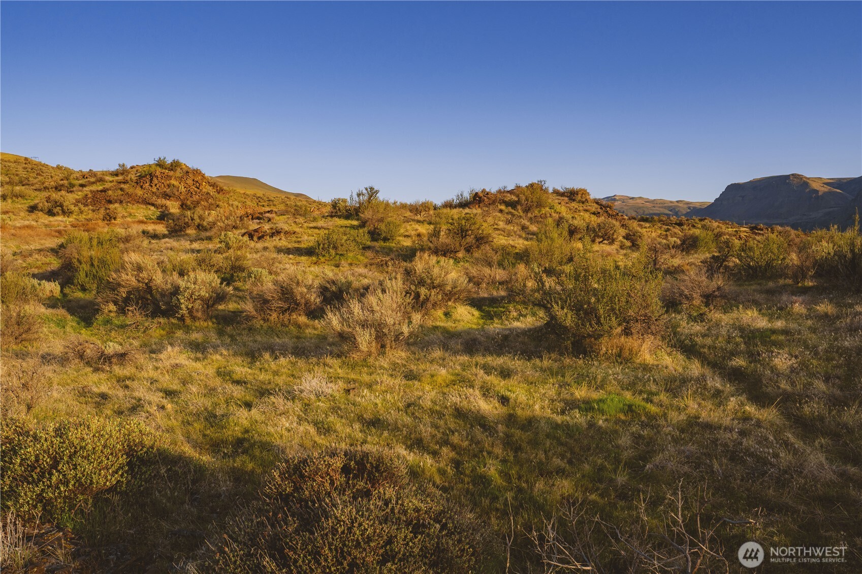375 Ravenwing Lane , Malaga, WA 98828