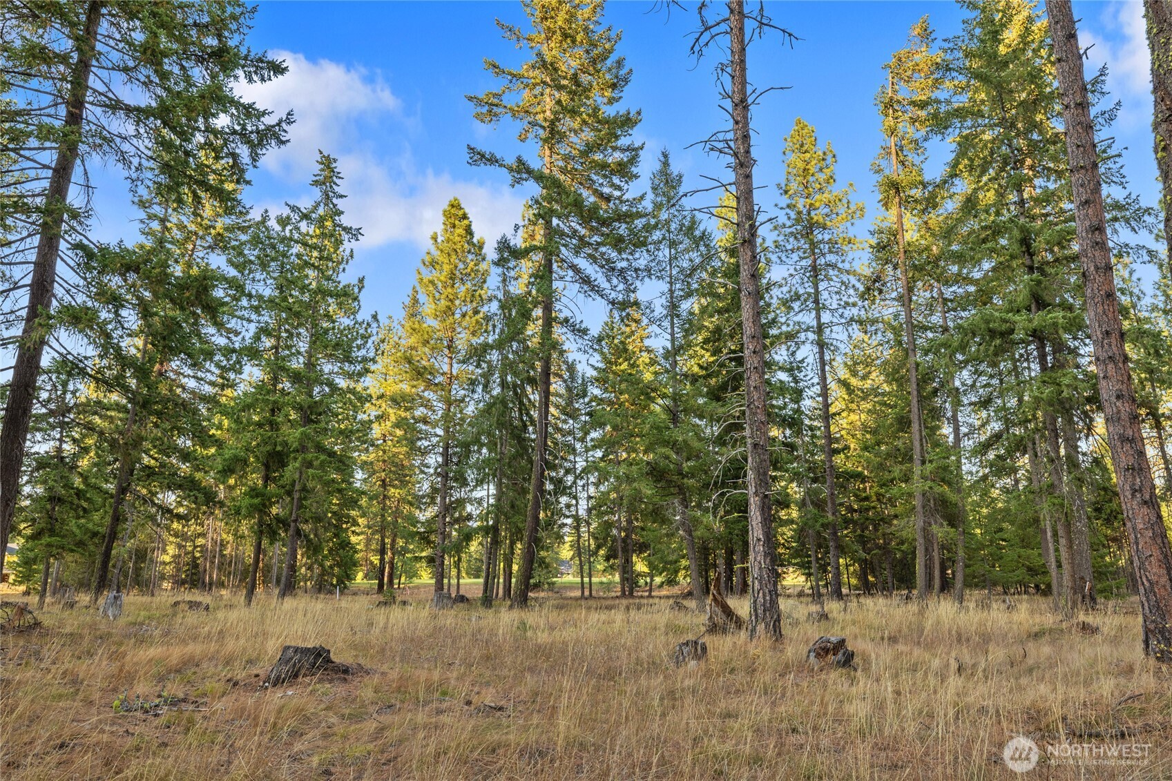 32 Domerie Park Loop , Cle Elum, WA 98922