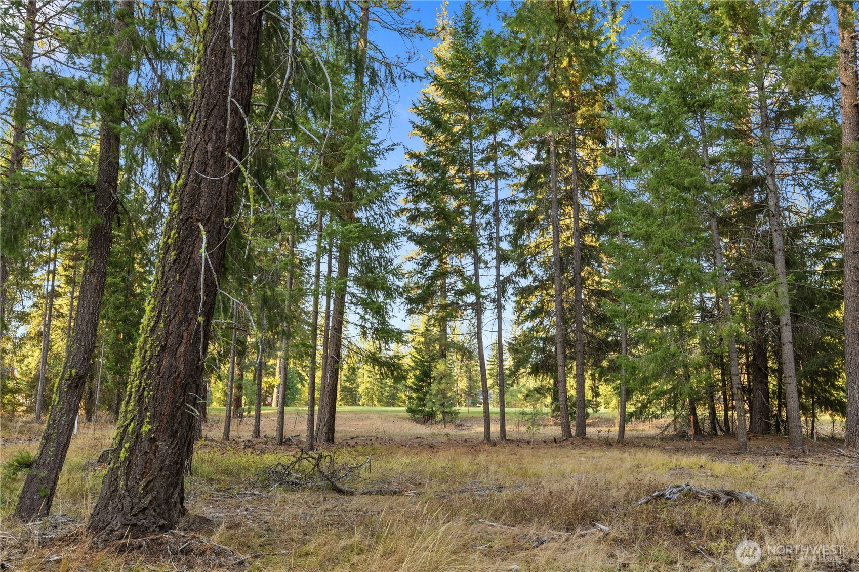 32 Domerie Park Loop , Cle Elum, WA 98922