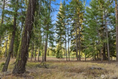 32 Domerie Park Loop , Cle Elum, WA 98922 - Photo 2