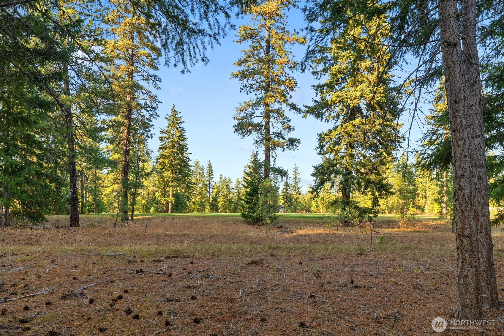 32 Domerie Park Loop , Cle Elum, WA 98922