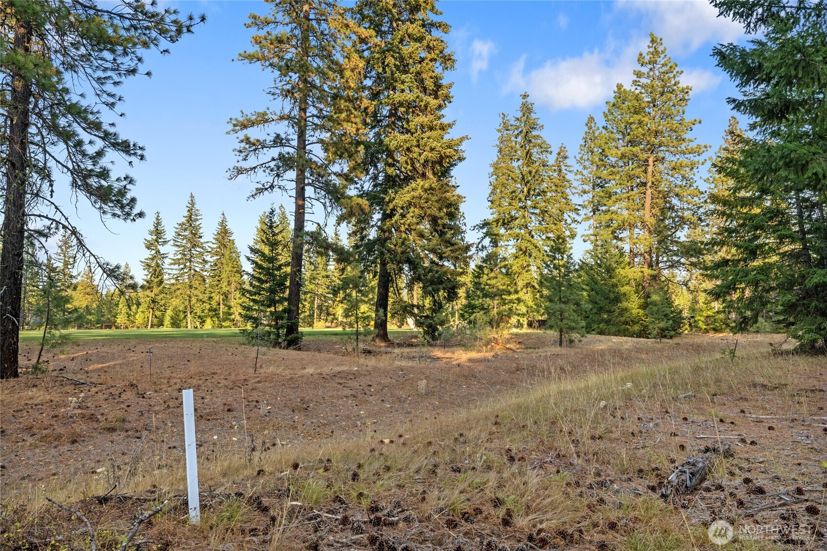 32 Domerie Park Loop , Cle Elum, WA 98922