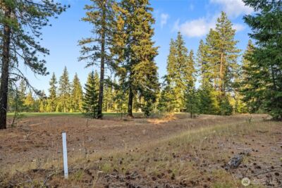 32 Domerie Park Loop , Cle Elum, WA 98922 - Photo 4