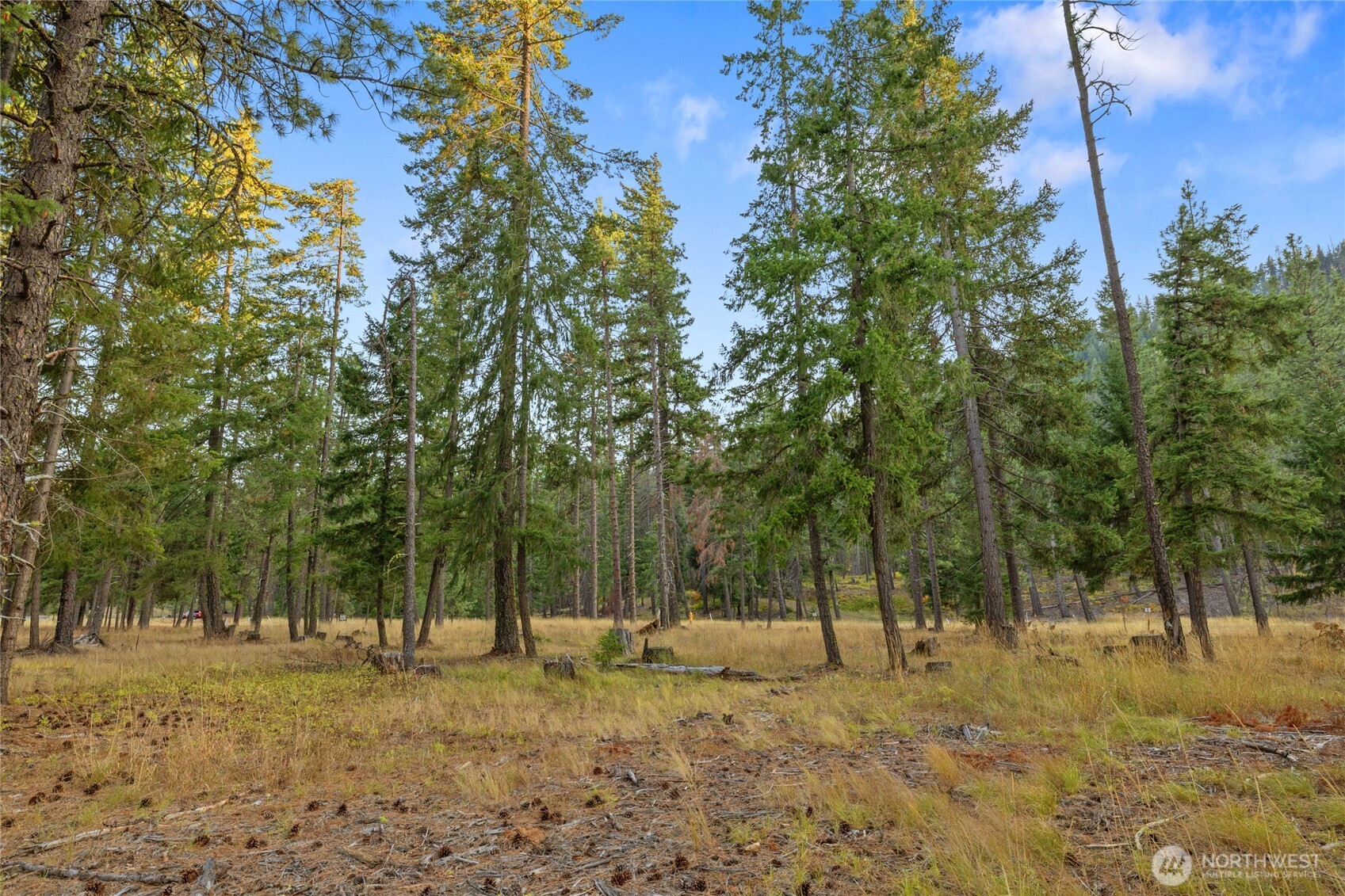 32 Domerie Park Loop , Cle Elum, WA 98922