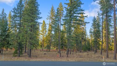 32 Domerie Park Loop , Cle Elum, WA 98922 - Photo 6