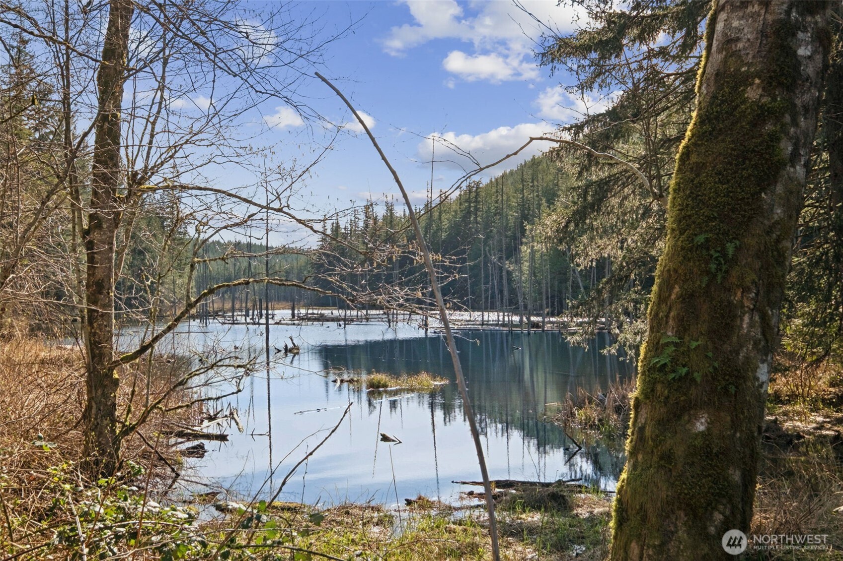 32707 349 Way SE, Ravensdale, WA 98051-9543