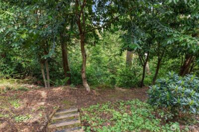 8049 44th Avenue NE, Seattle, WA 98115 - Photo 39