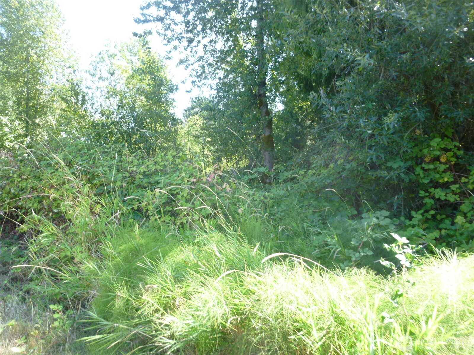 0 Larch Way , Lynnwood, WA 98036