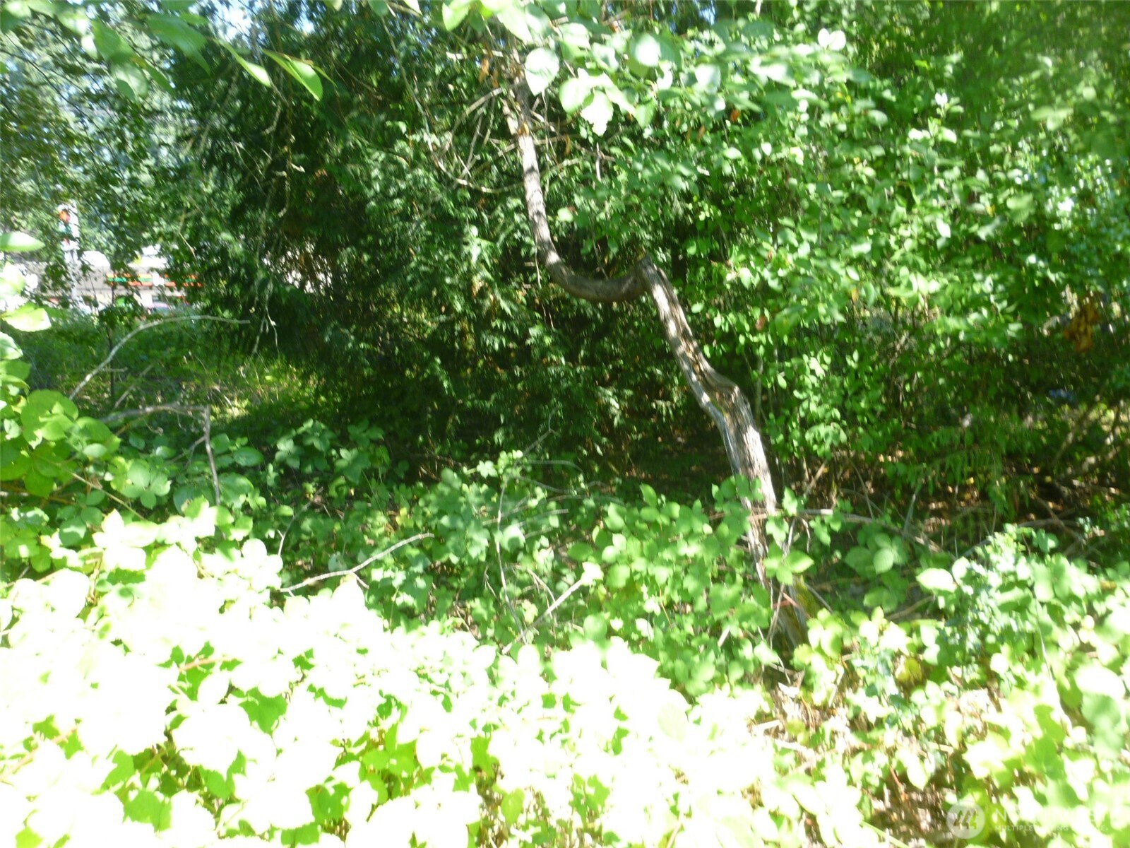 0 Larch Way , Lynnwood, WA 98036