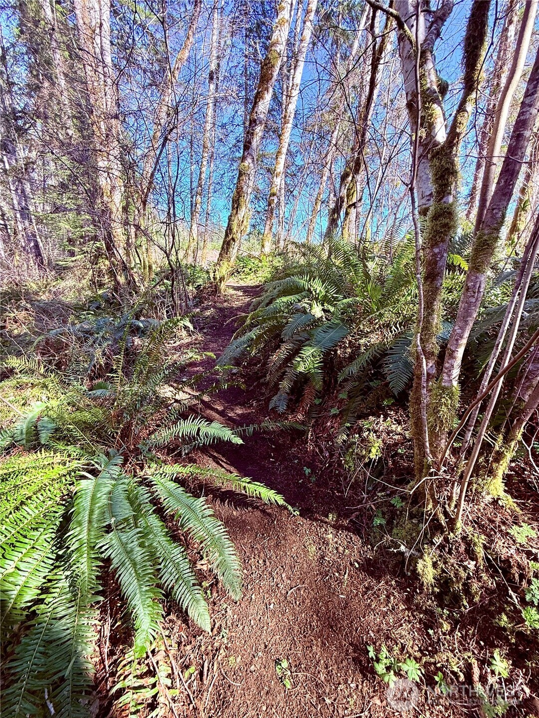 706 Falls Road #35, Randle, WA 98377-9712