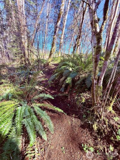 706 Falls Road #35, Randle, WA 98377-9712 - Photo 31